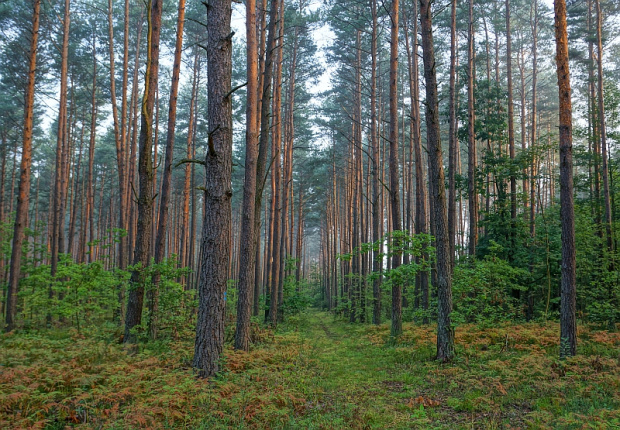 świetokrzyskie