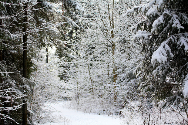 Zima w Gołdapi