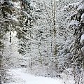 Zima w Gołdapi