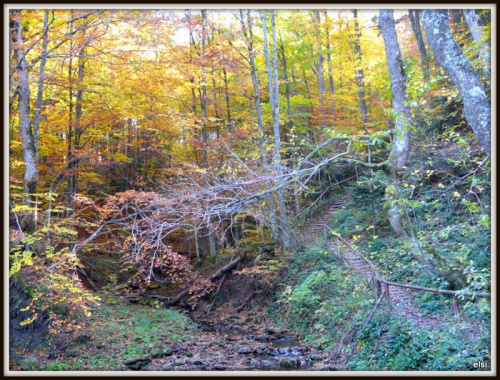 Bieszczady #PodróżeMałeIDuże