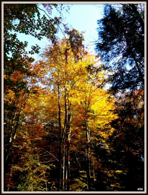 Bieszczady #PodróżeMałeIDuże