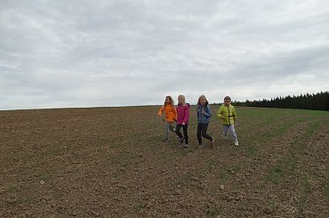 #spacer #KlasaII #jesień