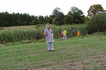 #spacer #KlasaII #jesień