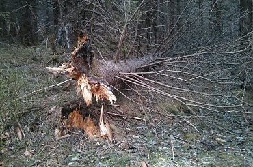 #góry #Tatry #Zakopane