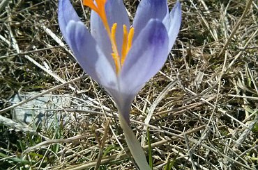 #góry #Tatry #Zakopane