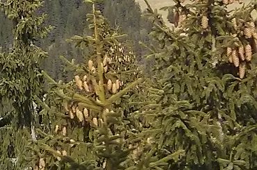 W drodze powrotnej z Kasprowego #góry #Tatry #Zakopane