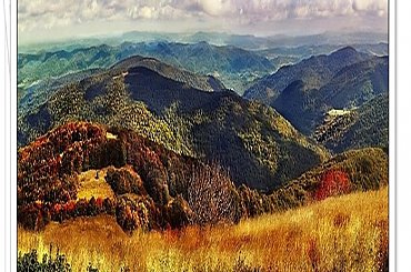 gdyby Bieszczady były wyższe #jesien #góry