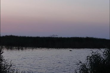 #Mazury #żagle #pies #wakacje