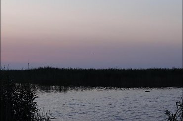 #Mazury #żagle #pies #wakacje