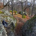 skały na górze Bismarcka - Staniszów #góry #skały