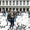 Wenecja - Plac św. Marka (Piazza San Marco)