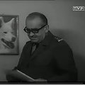 Przygody psa cywila