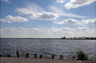 #Bug #pies #sznaucer #zalew #Zibi