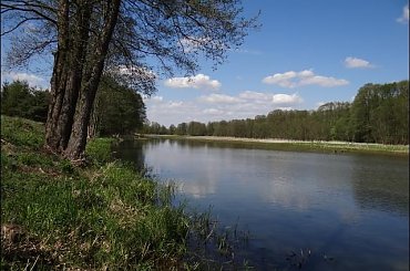 #Bug #pies #sznaucer #zalew #Zibi