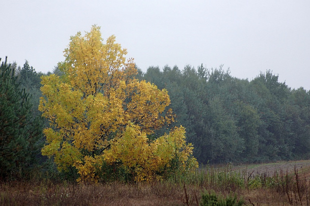 świętokrzyskie