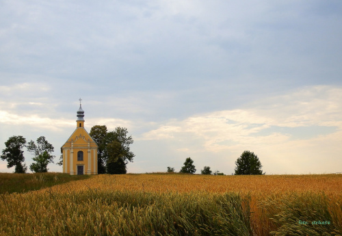 mały kościółek w polu, wśród zbóż. przy drodze "40" ... okolice Głogówka ... **** ulub. lidiaizabela, gonzki, kriskoz ****