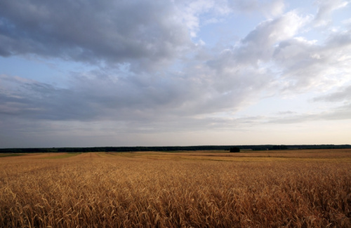 świętokrzyskie