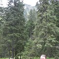 X spotkanie GG Tatry-Głodówka