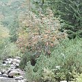 X spotkanie GG Tatry-Głodówka