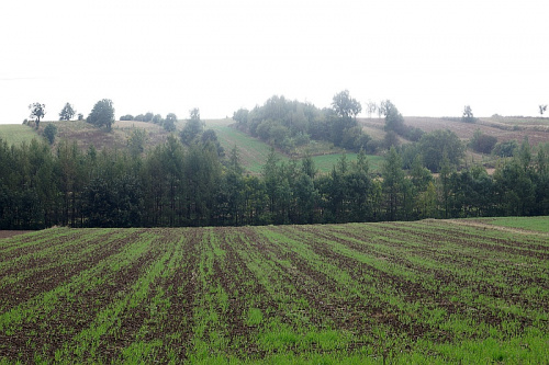 ŚWIĘTOKRZYSKIE